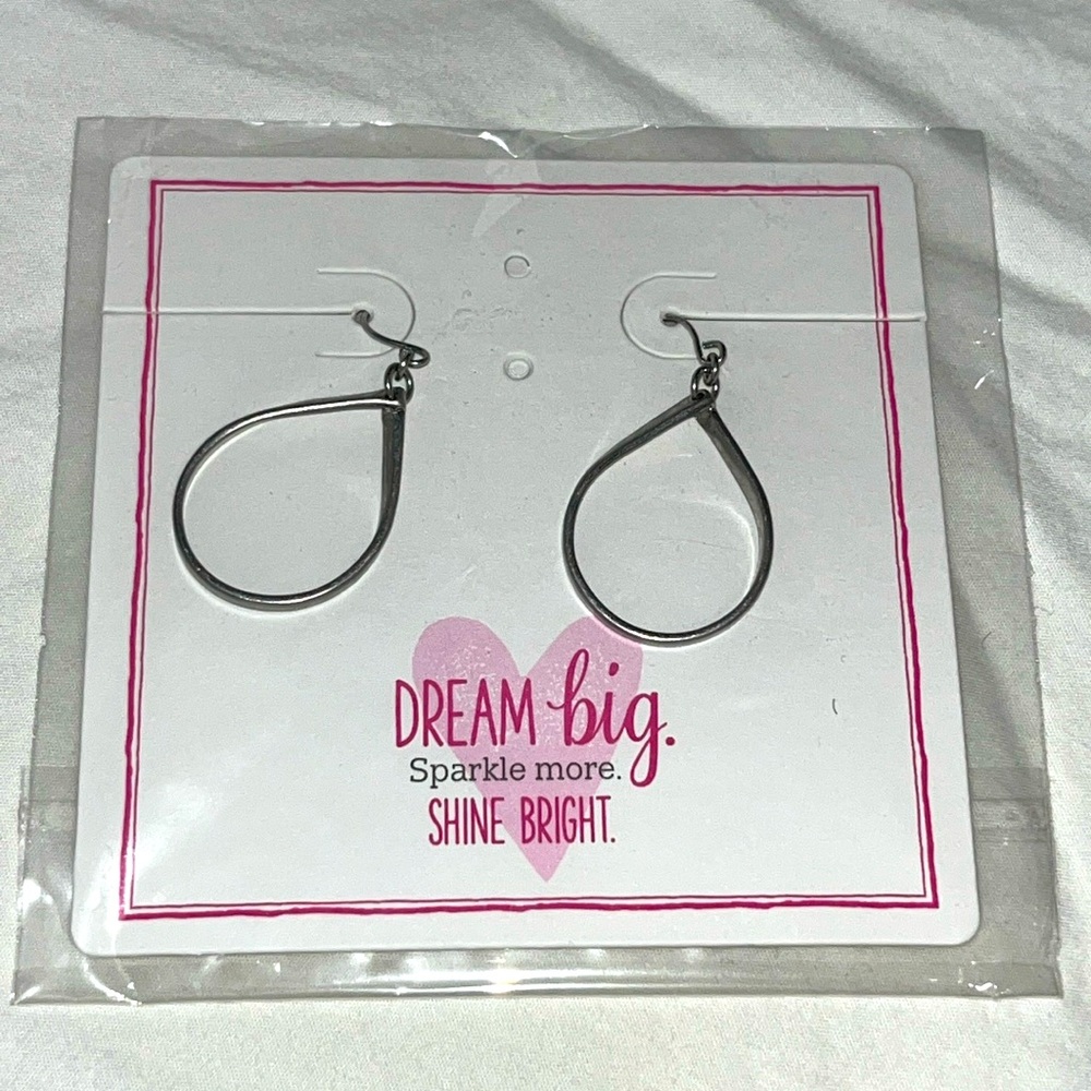 Silver hook hoops NIB